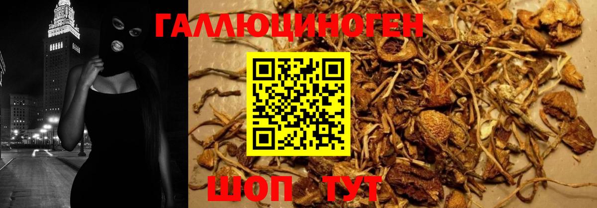Ногинск  Галлюциногенные грибы Magic Shrooms  где можно купить   Вход с VPN 